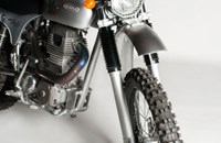 Borile B500Ricki 2015 - Bild 4