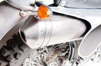 Borile B500Ricki 2015 - Bild 5