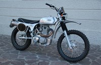 Borile B500Ricki 2015 - Bild 13