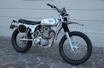 Borile B500Ricki 2015 - Bild 13