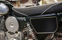 Borile B500Ricki 2015 - Bild 15