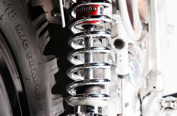 Borile B500Ricki 2015 - Bild 16