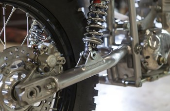 Borile B500Ricki 2015 - Bild 17