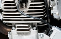 Borile B500Ricki 2015 - Bild 18