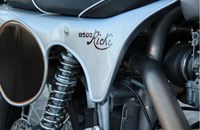 Borile B500Ricki 2015 - Bild 22