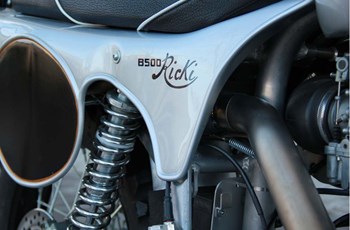 Borile B500Ricki 2015 - Bild 22