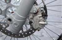 Borile B500Ricki 2015 - Bild 25