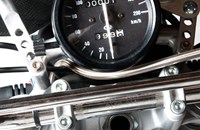 Borile B500Ricki 2015 - Bild 28