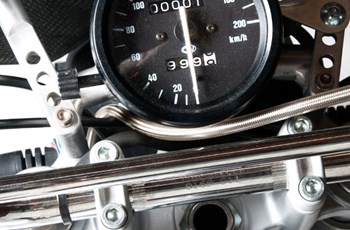 Borile B500Ricki 2015 - Bild 28