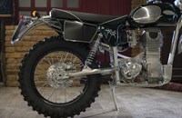 Borile B500Ricki 2015 - Bild 31