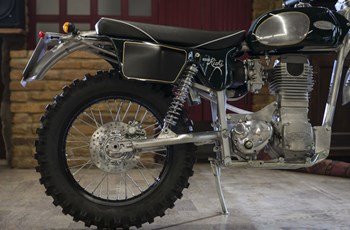 Borile B500Ricki 2015 - Bild 31