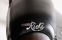 Borile B500Ricki 2015 - Bild 32