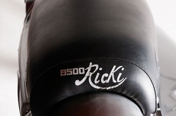 Borile B500Ricki 2015 - Bild 32