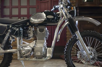 Borile B500Ricki 2015 - Bild 33