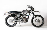 Borile B500Ricki 2015 - Bild 1