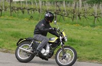 Borile B450 Scrambler 2015 - Bild 2