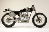 Borile Bastard 2015 - Bild 2