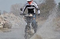 Borile Multiuso 2015 - Bild 5