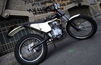 Borile Multiuso 2015 - Bild 6