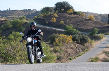 Triumph Bonneville T100 2015 - Bild 10 Triumph Bonneville T100 2015 - Bild 10