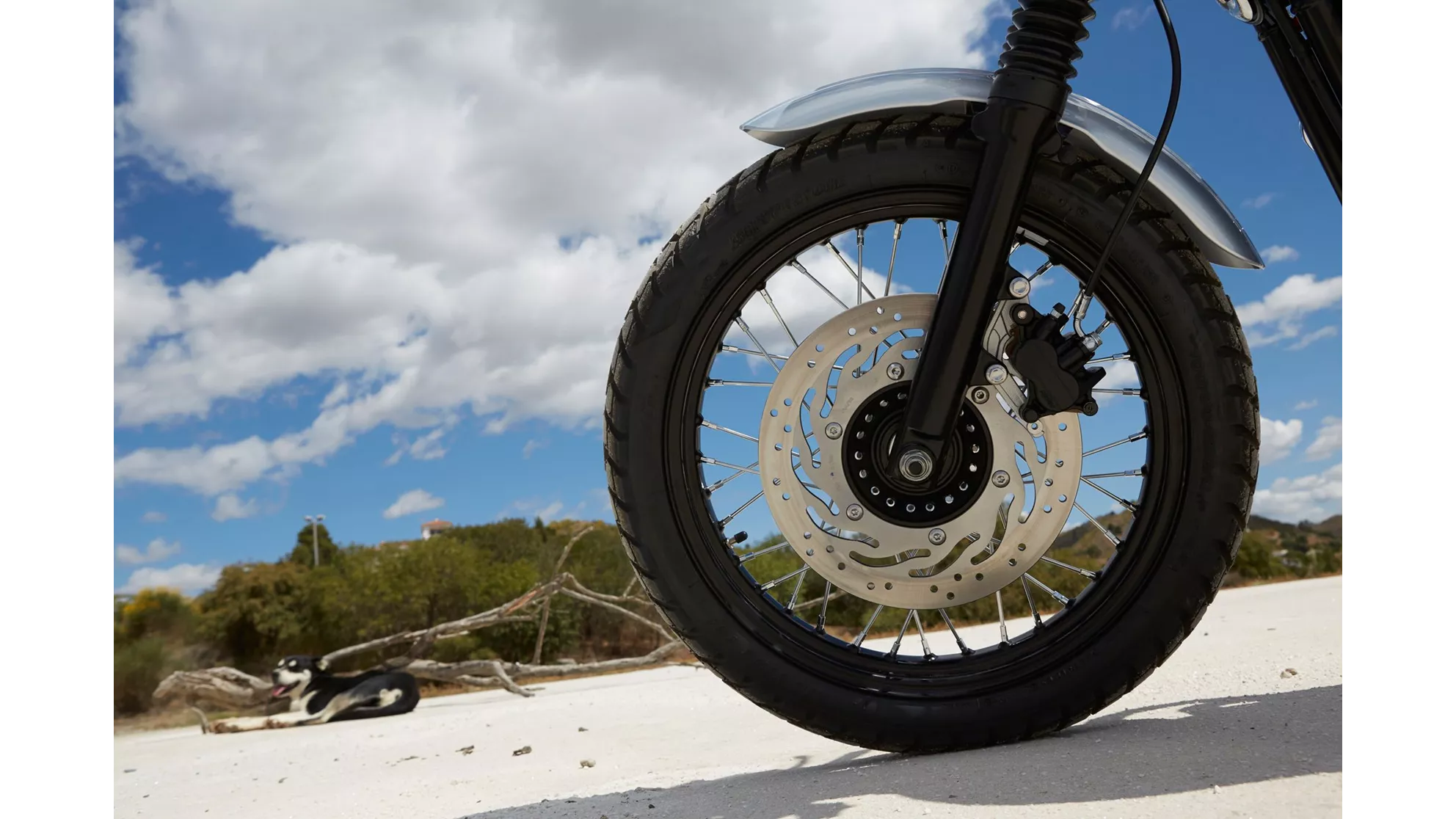 Triumph Scrambler - Image 17 Triumph Scrambler - Image 17