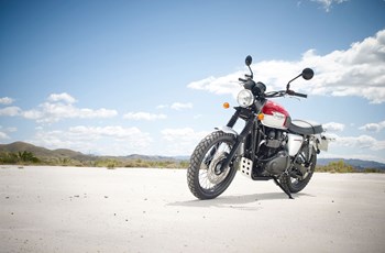 Triumph Scrambler 2015 - Bild 21 Triumph Scrambler 2015 - Bild 21