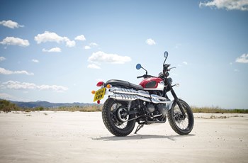 Triumph Scrambler 2015 - Bild 22 Triumph Scrambler 2015 - Bild 22