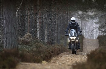 Triumph Tiger Explorer XC 2015 - Bild 3 Triumph Tiger Explorer XC 2015 - Bild 3