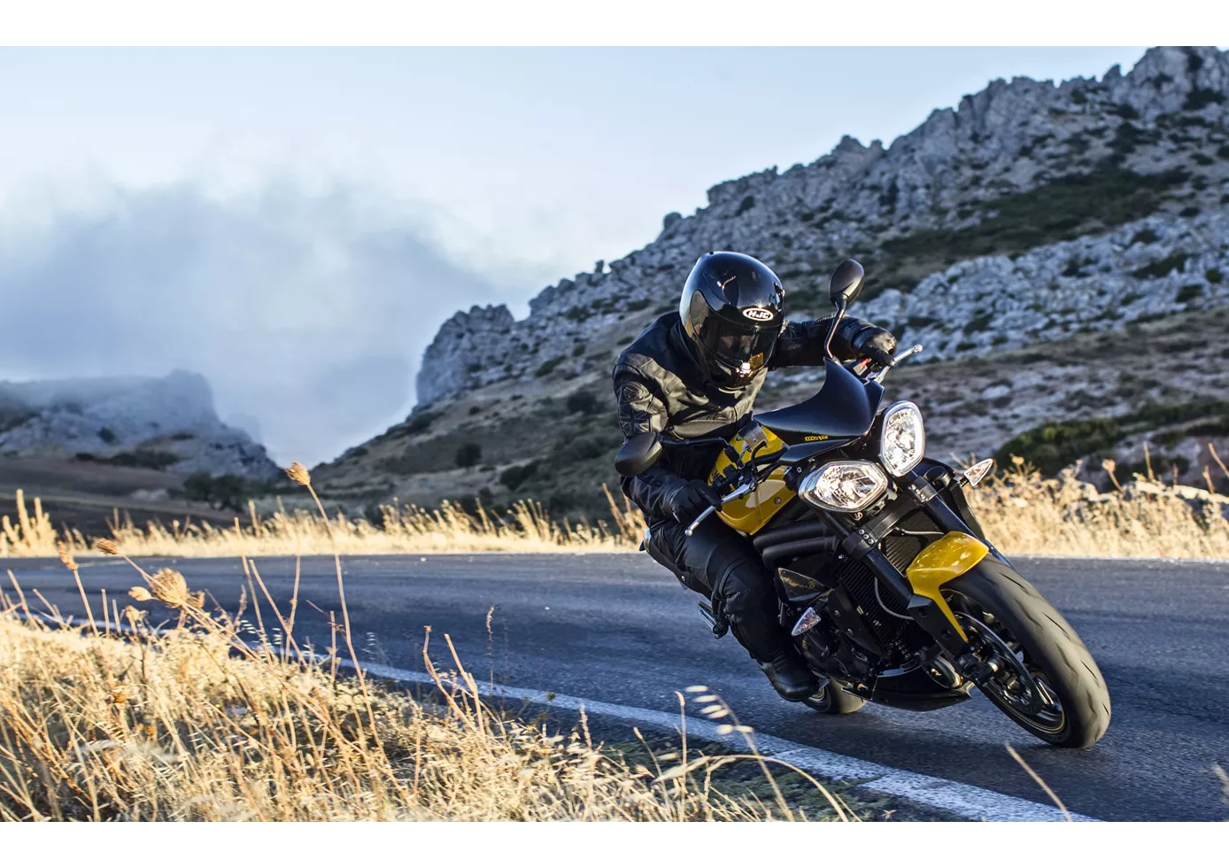 Triumph Speed Triple R ´94 2015 Triumph Speed Triple R ´94 2015