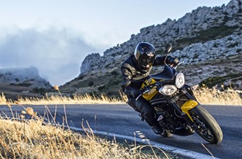 Triumph Speed Triple R ´94 2015 - Bild 2