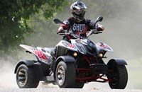 Access AMS 430 EFI 2015 - Bild 2