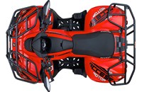 Access AMX 650 EFI 2015 - Bild 3