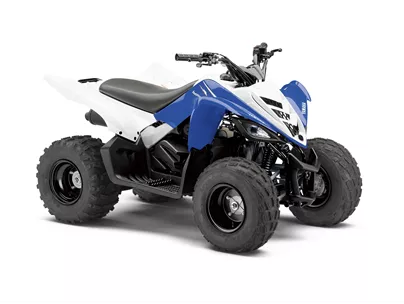 Yamaha YFM 90 2015 Yamaha YFM 90 2015
