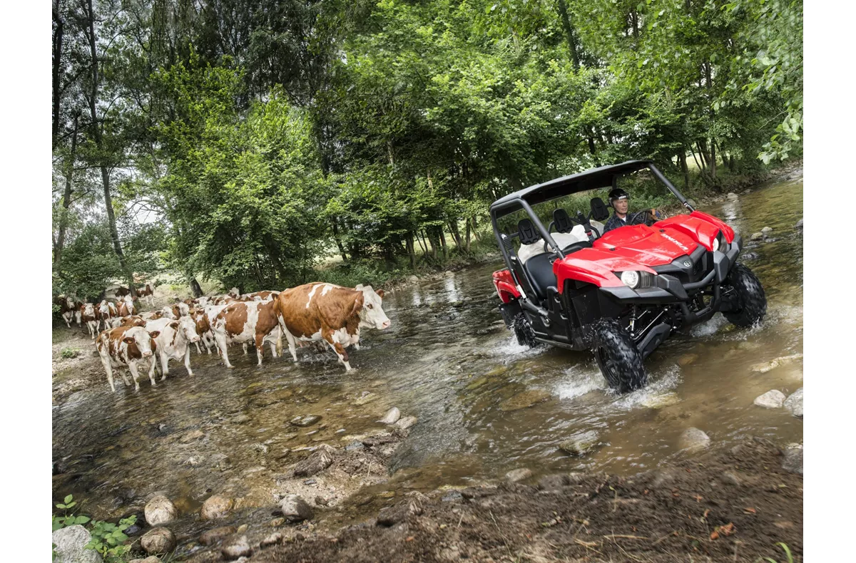 Yamaha Viking Yamaha Viking