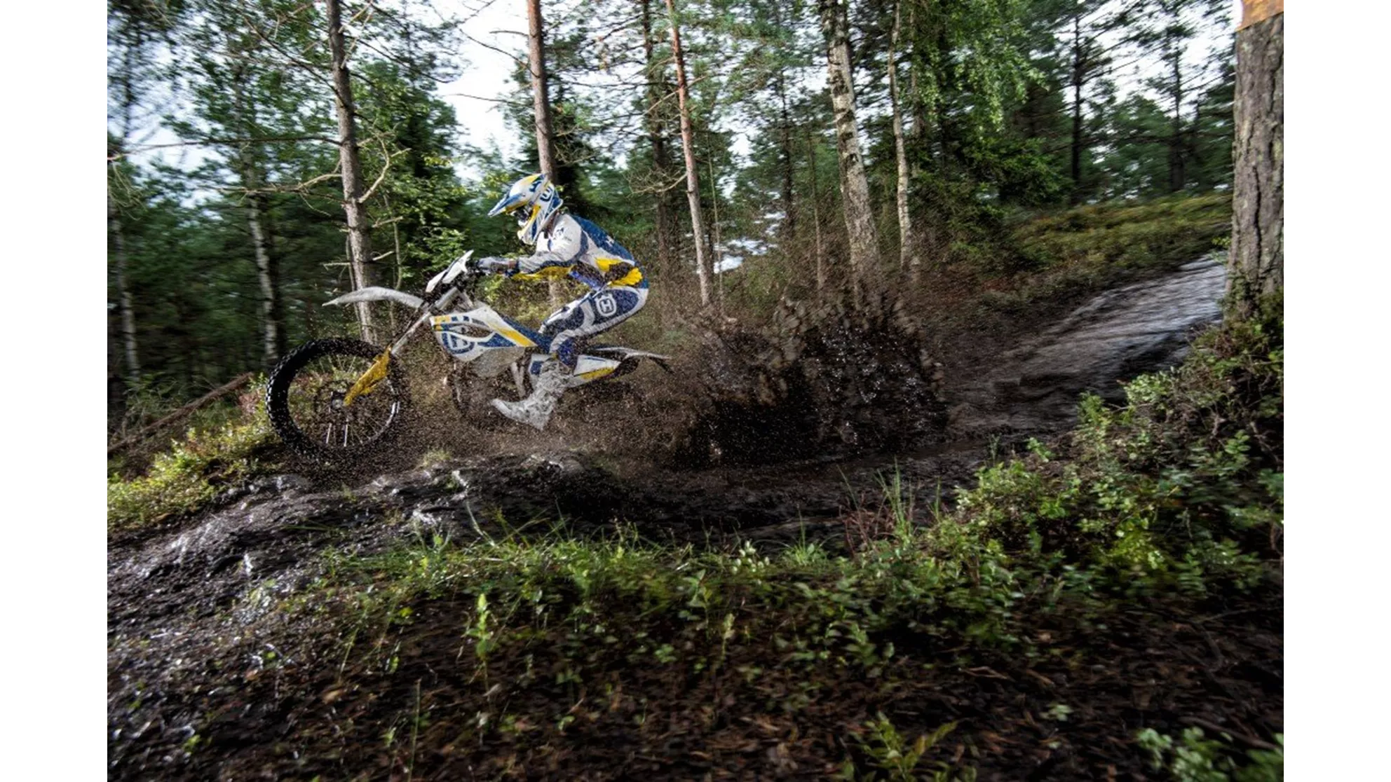 Husqvarna FE 350 - Image 5 Husqvarna FE 350 - Image 5