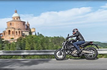 Ducati Monster 821 Dark 2015 - Bild 13