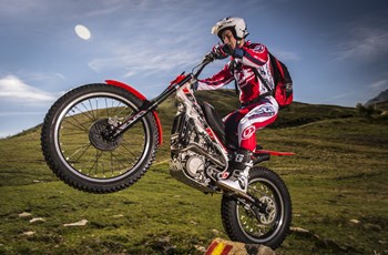 Beta Evo 300 4Takt 2015 - Bild 2