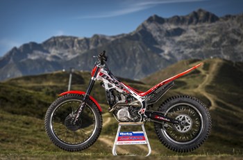 Beta Evo 300 4Takt 2015 - Bild 5