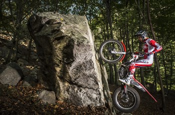 Beta Evo 300 2T 2015 - Bild 3 Beta Evo 300 2T 2015 - Bild 3