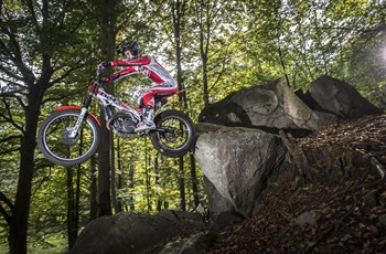 Beta Evo 300 2T 2015 - Bild 11 Beta Evo 300 2T 2015 - Bild 11