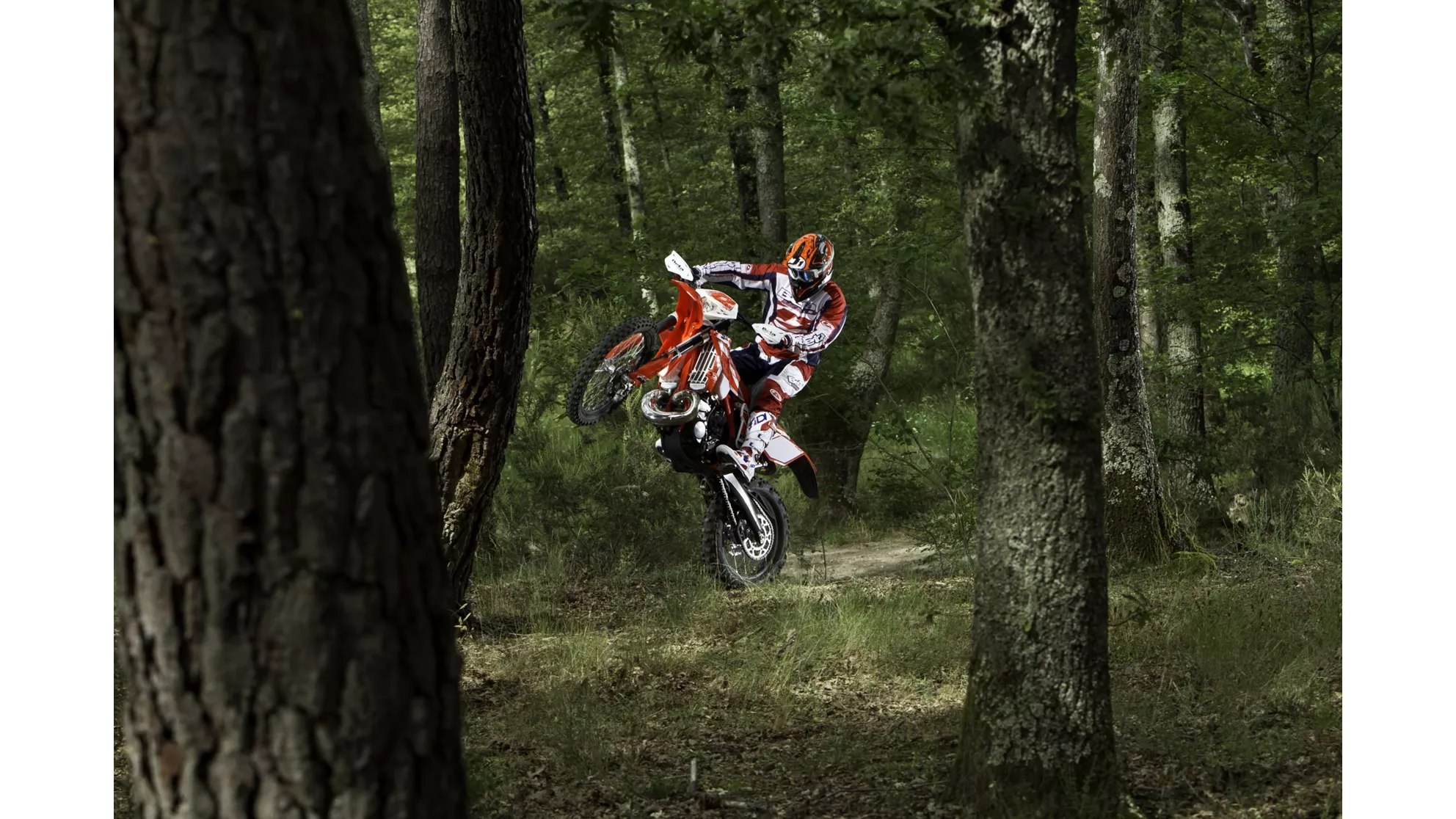 Beta RR 300 2T - Image 6 Beta RR 300 2T - Image 6