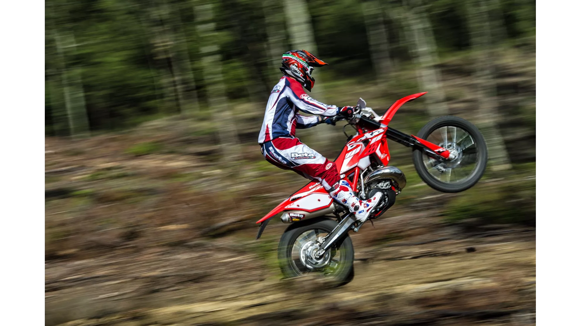 Beta RR 300 2T - Image 21 Beta RR 300 2T - Image 21