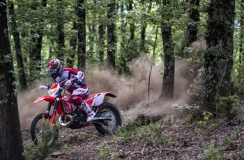 Beta RR 300 2T 2015 - Bild 30 Beta RR 300 2T 2015 - Bild 30
