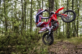 Beta RR 430 2015 - Bild 11 Beta RR 430 2015 - Bild 11