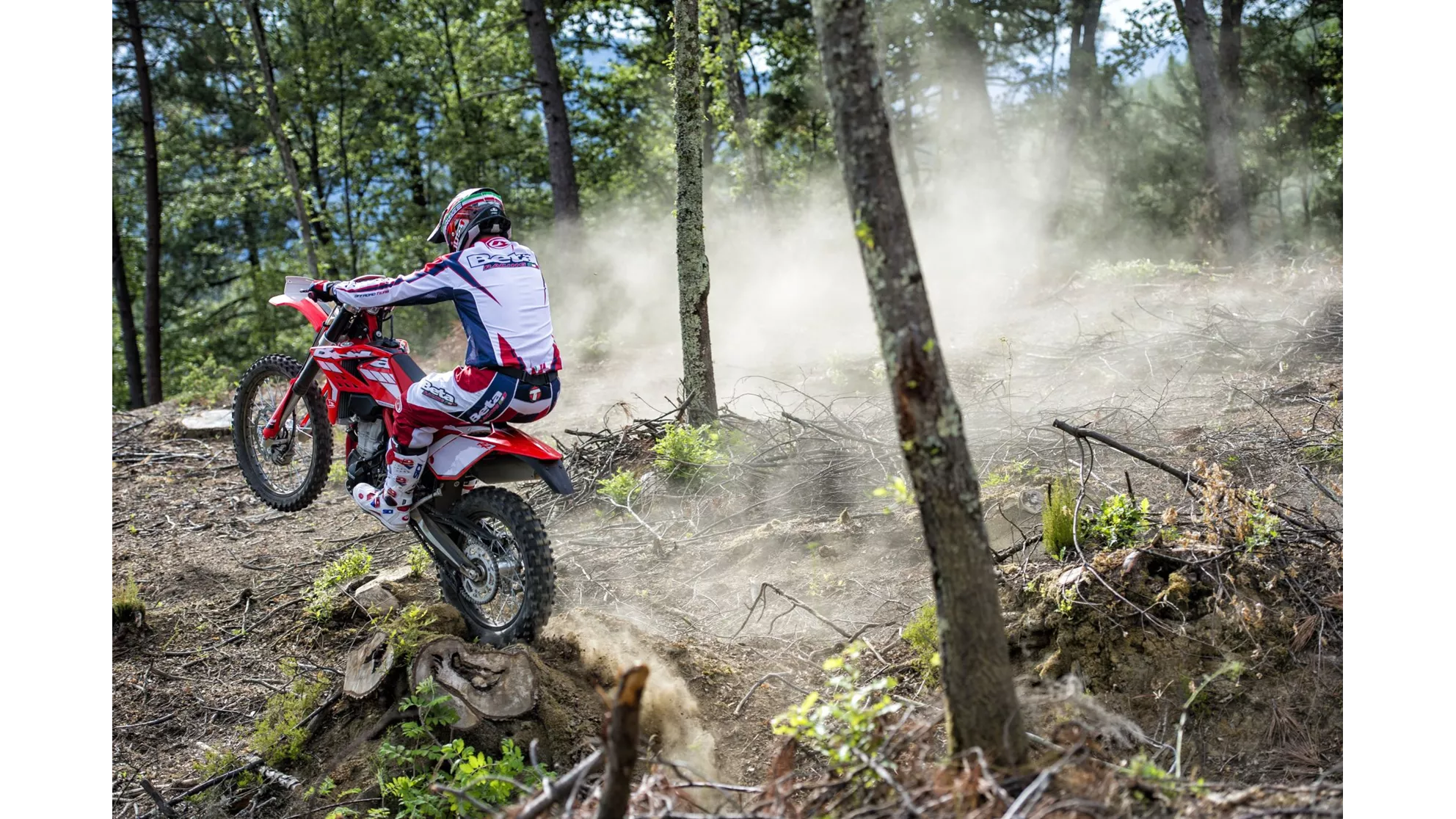 Beta RR 480 - Image 4 Beta RR 480 - Image 4