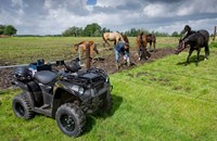 Kawasaki KVF 300 2015 - Bild 10