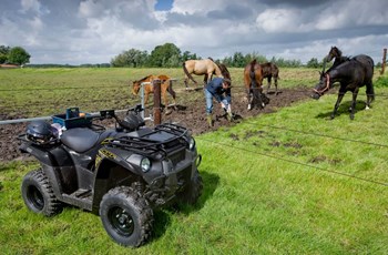 Kawasaki KVF 300 2015 - Bild 10