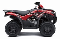 Kawasaki KVF 300 2015 - Bild 1