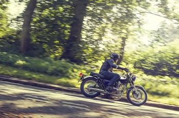 Kawasaki W800 2015 - Bild 2