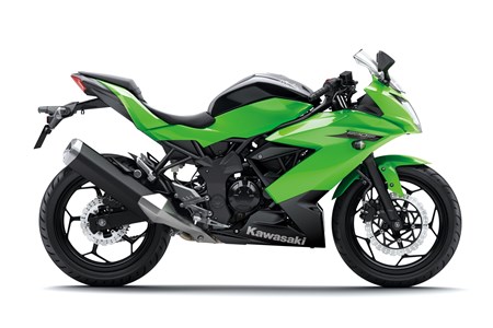Kawasaki Ninja 250 SL 2015